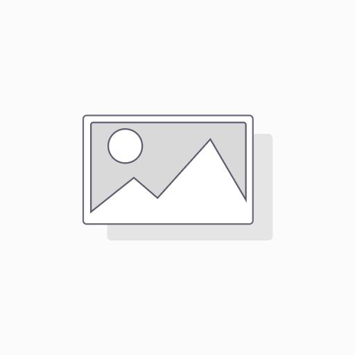 ARCGIS AVANZADO